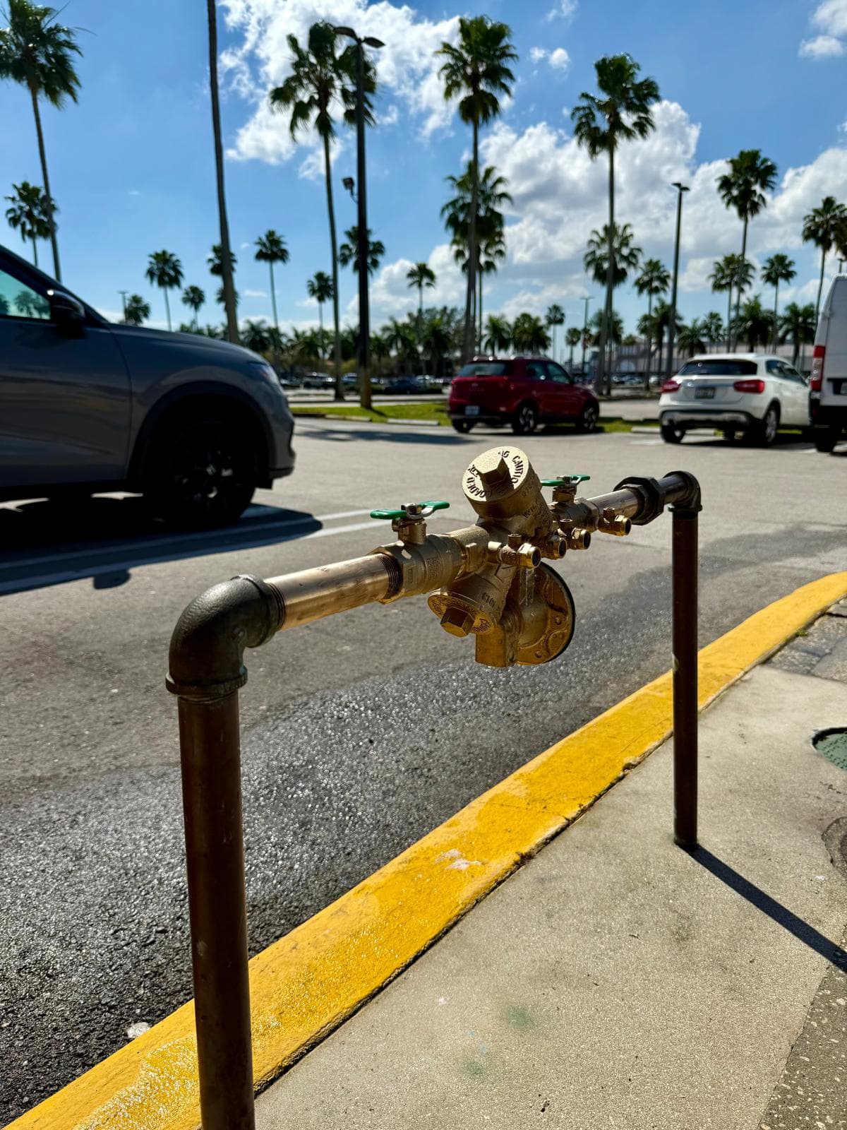 5 Signs You Need a Sewer Line Inspection